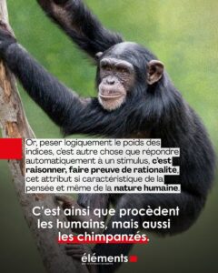 Ragione_animale