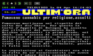 Cannabis_escursionista